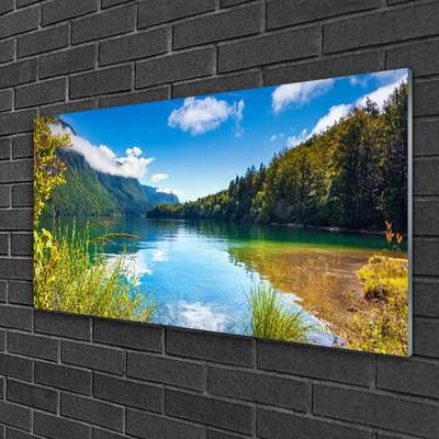 Tableaux sur verre Montagnes forêt lac nature vert bleu