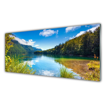 Tableaux sur verre Montagnes forêt lac nature vert bleu