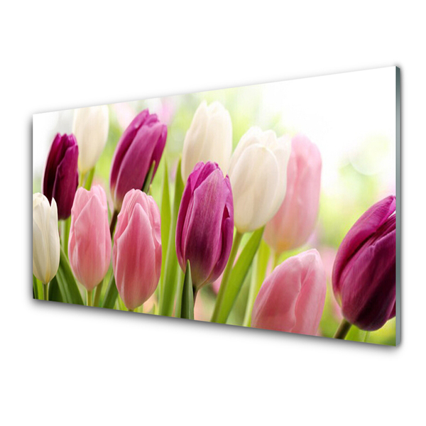 Tableaux sur verre Tulipes floral blanc rouge rose