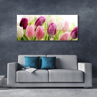 Tableaux sur verre Tulipes floral blanc rouge rose