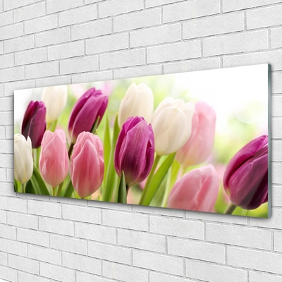 Tableaux sur verre Tulipes floral blanc rouge rose