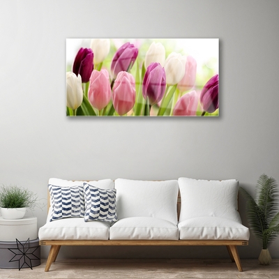 Tableaux sur verre Tulipes floral blanc rouge rose