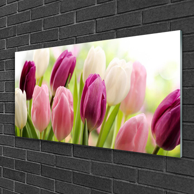 Tableaux sur verre Tulipes floral blanc rouge rose