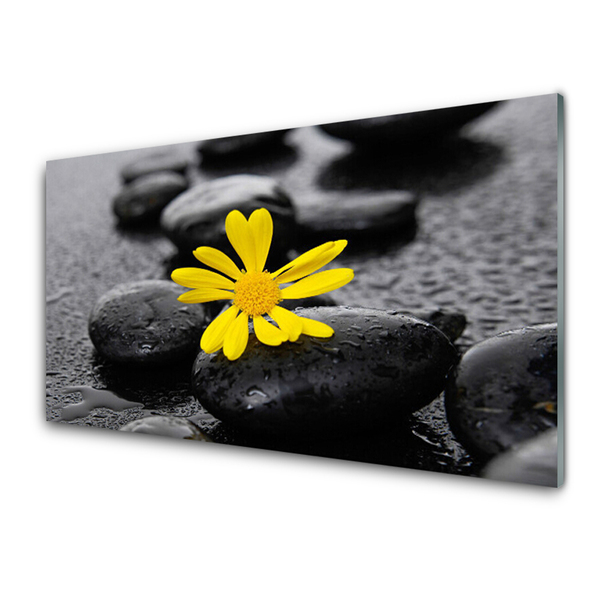 Tableaux sur verre Pierres fleurs art jaune noir