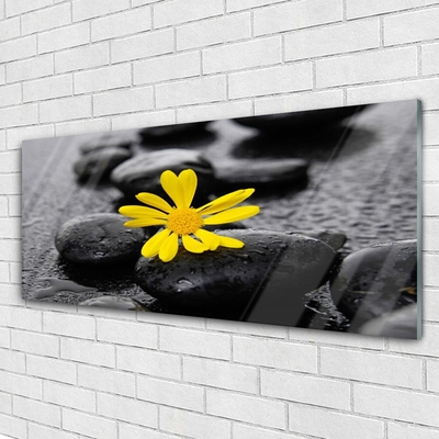 Tableaux sur verre Pierres fleurs art jaune noir