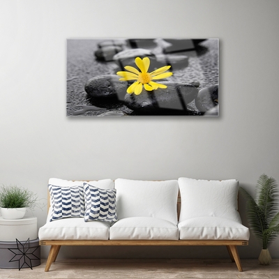 Tableaux sur verre Pierres fleurs art jaune noir