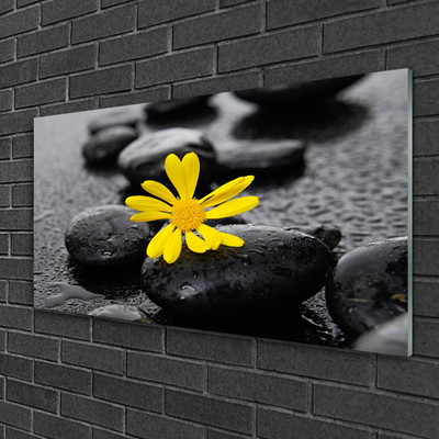 Tableaux sur verre Pierres fleurs art jaune noir