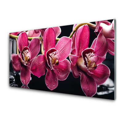 Tableaux sur verre Fleurs floral rouge