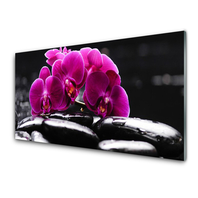 Tableaux sur verre Pierres fleurs floral rouge noir