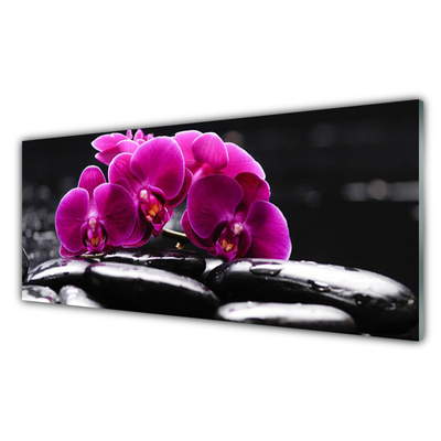 Tableaux sur verre Pierres fleurs floral rouge noir