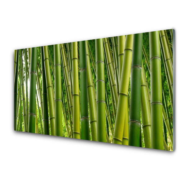 Tableaux sur verre Bambou floral vert