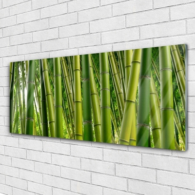 Tableaux sur verre Bambou floral vert