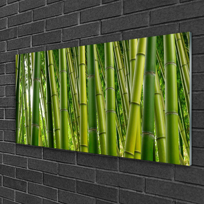 Tableaux sur verre Bambou floral vert