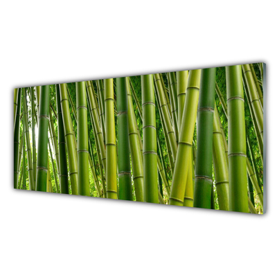 Tableaux sur verre Bambou floral vert