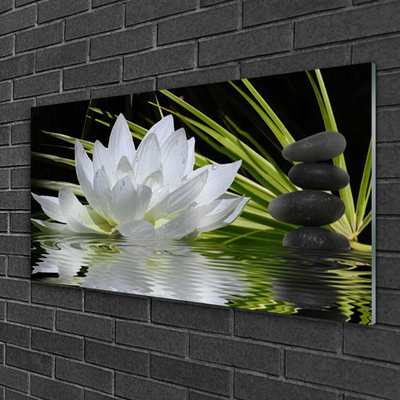 Tableaux sur verre Fleur eau pierre floral blanc noir