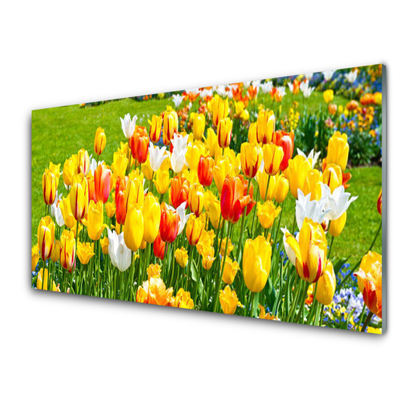 Tableaux sur verre Tulipes floral jaune rouge blanc