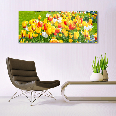 Tableaux sur verre Tulipes floral jaune rouge blanc