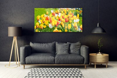 Tableaux sur verre Tulipes floral jaune rouge blanc