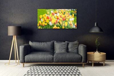 Tableaux sur verre Tulipes floral jaune rouge blanc