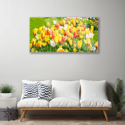 Tableaux sur verre Tulipes floral jaune rouge blanc