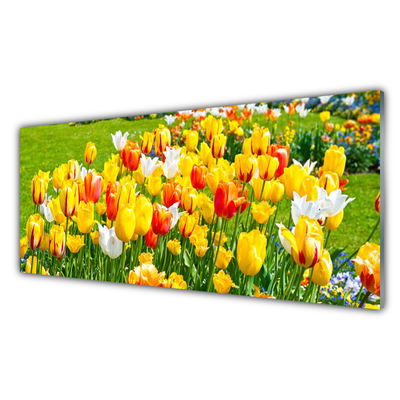 Tableaux sur verre Tulipes floral jaune rouge blanc