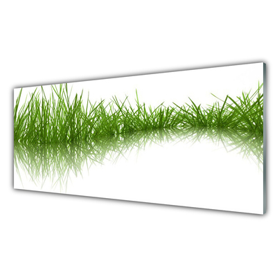 Tableaux sur verre Herbe nature vert