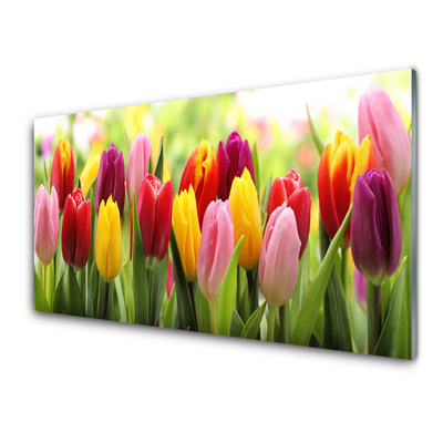 Tableaux sur verre Tulipes floral rose rouge jaune