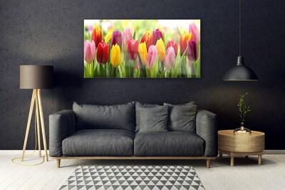 Tableaux sur verre Tulipes floral rose rouge jaune