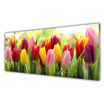 Tableaux sur verre Tulipes floral rose rouge jaune