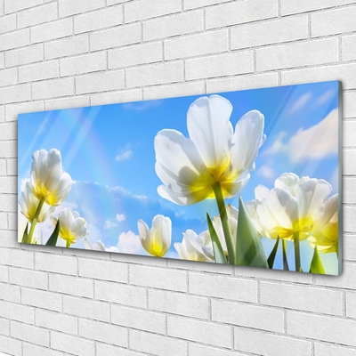 Tableaux sur verre Fleurs floral blanc vert