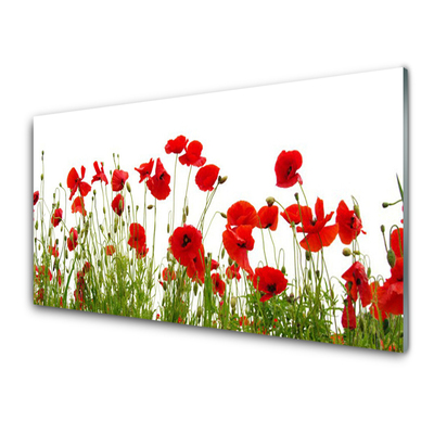 Tableaux sur verre Coquelicots floral rouge vert