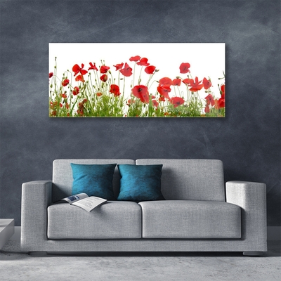 Tableaux sur verre Coquelicots floral rouge vert