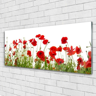 Tableaux sur verre Coquelicots floral rouge vert