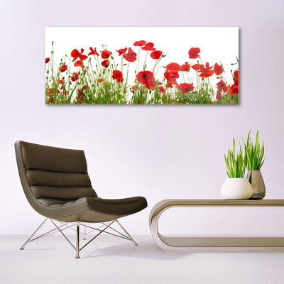 Tableaux sur verre Coquelicots floral rouge vert