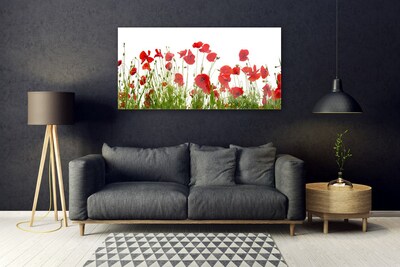 Tableaux sur verre Coquelicots floral rouge vert