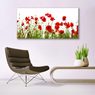 Tableaux sur verre Coquelicots floral rouge vert