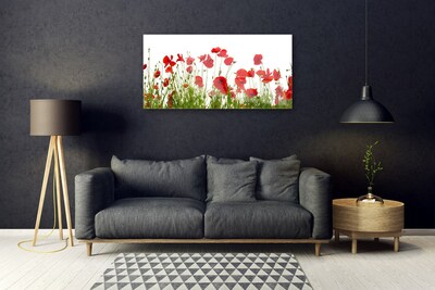 Tableaux sur verre Coquelicots floral rouge vert