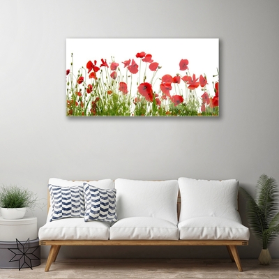 Tableaux sur verre Coquelicots floral rouge vert