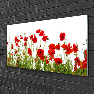 Tableaux sur verre Coquelicots floral rouge vert