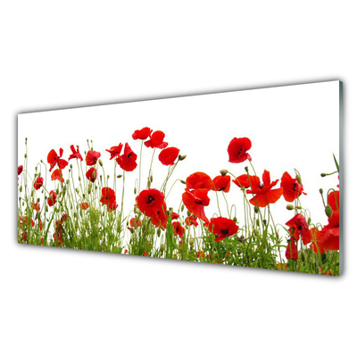 Tableaux sur verre Coquelicots floral rouge vert