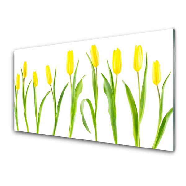 Tableaux sur verre Tulipes floral jaune vert