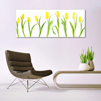 Tableaux sur verre Tulipes floral jaune vert