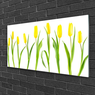 Tableaux sur verre Tulipes floral jaune vert