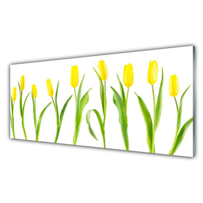 Tableaux sur verre Tulipes floral jaune vert