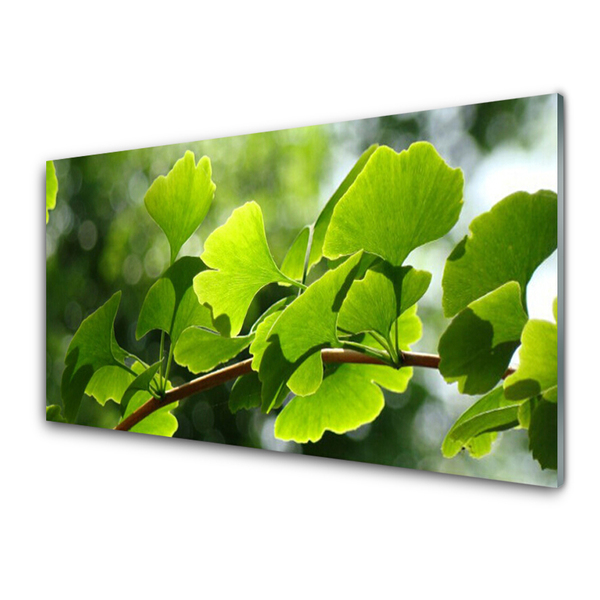 Tableaux sur verre Feuilles branche floral brun vert