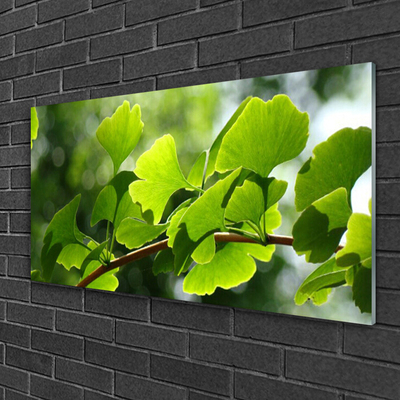 Tableaux sur verre Feuilles branche floral brun vert