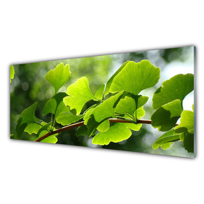 Tableaux sur verre Feuilles branche floral brun vert