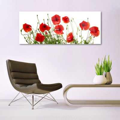 Tableaux sur verre Coquelicots floral vert rouge