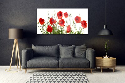 Tableaux sur verre Coquelicots floral vert rouge