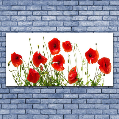 Tableaux sur verre Coquelicots floral vert rouge